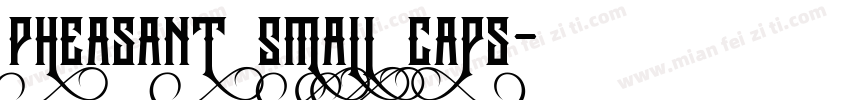 Pheasant Small Caps字体转换